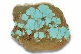 Polished Turquoise Slab - Number Mine, Carlin, NV #248335-1